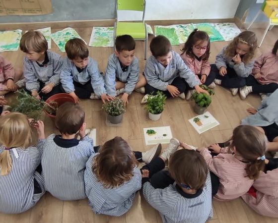 ELS NENS DE P4-A HEM APRÈS MOLTES COSES DE LES PLANTES