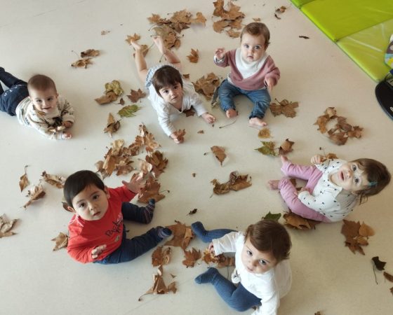 ¡En la clase de los Koalas nos encanta vivir el otoño!