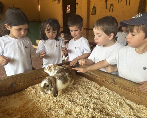 P3C ¡Nos vamos a la granja!