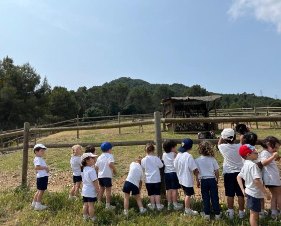 La classe del Pollet Piu d’excursió a la granja!