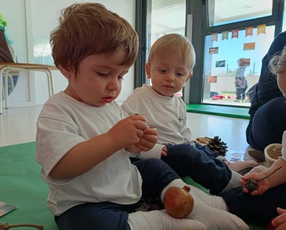 A la classe dels Coales explorem les qualitats dels objectes de la tardor