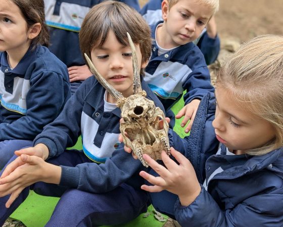 A I5 hem anat d’excursió per conèixer millor la Prehistòria
