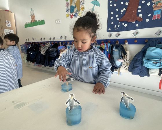 Experimentamos el frío del Ártico y descubrimos los animales que viven allí.